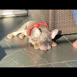 Meet your Posher, Ryan